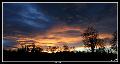 Paysage